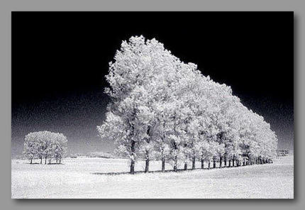 Bachtal