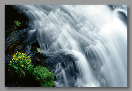 Valle Maggia